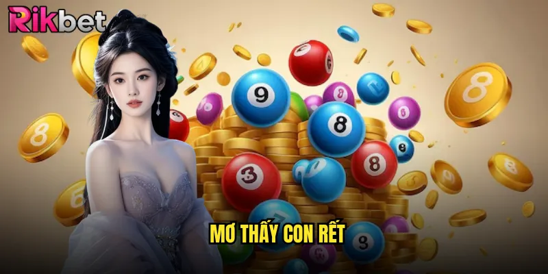 Mơ Thấy Con Rết Rikbet: Giải Mã Điềm Báo Và Con Số May Mắn 1 Mơ thấy con rết